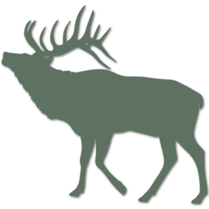 SEVR Broadheads - Icon