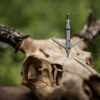 TITANIUM 2.0 BROADHEAD