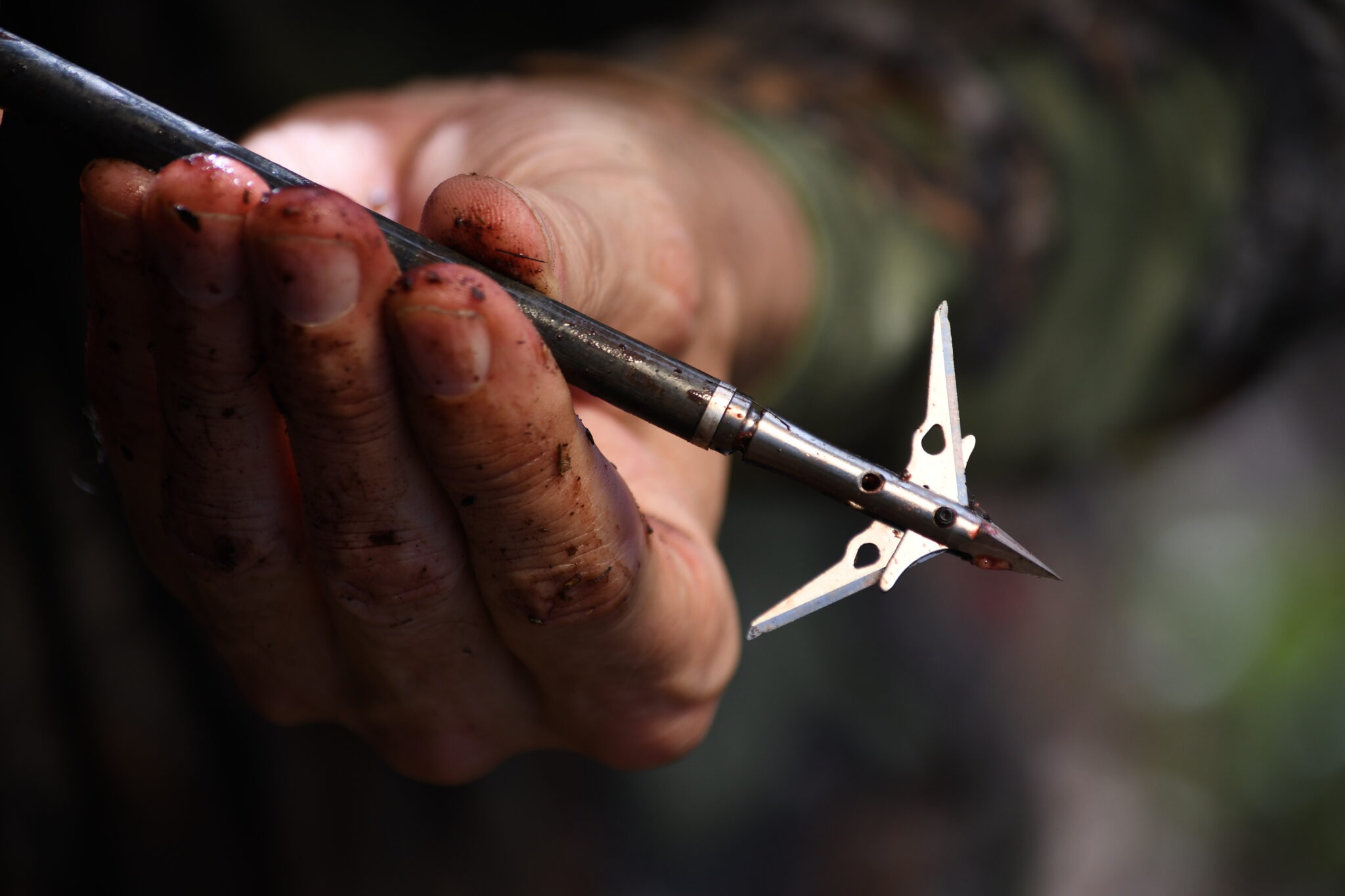 SEVR Robusto 2.0 - A Broadhead Designed For Crossbow Hunters