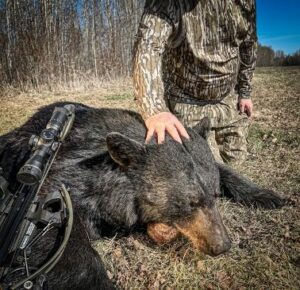 This huge black bear did not make it 10 yards after a SEVR zipped through its vitals.