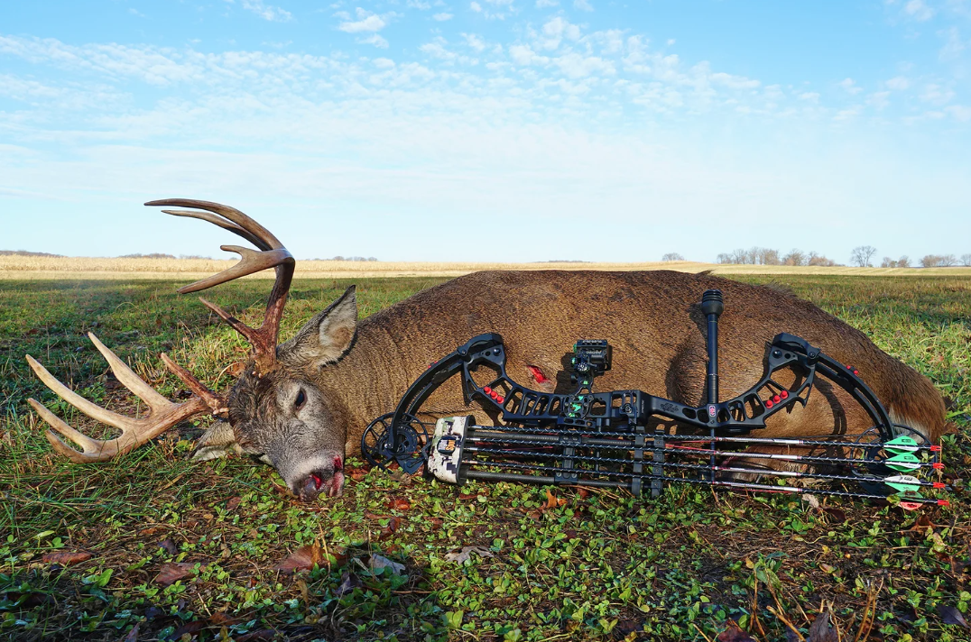 Read more about the article Why Mechanical Broadheads Are Still the Best Option for Most Deer Hunters