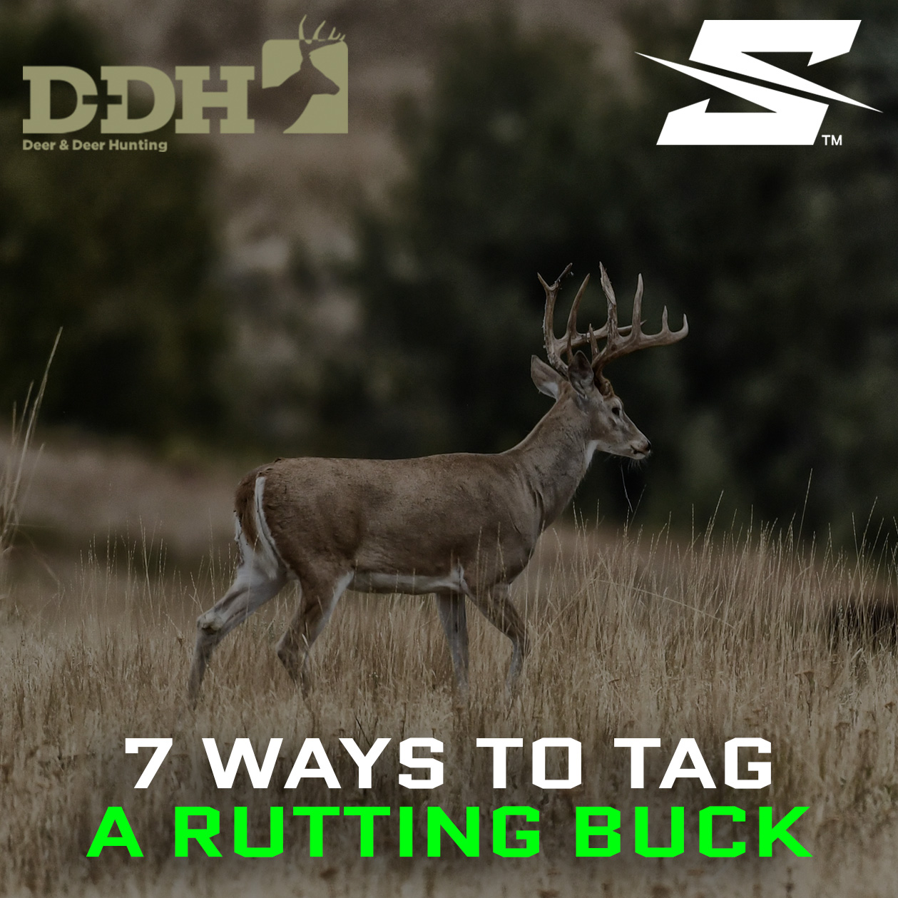 SEVR Broadheads // 7 Ways To Tag A Rutting Buck