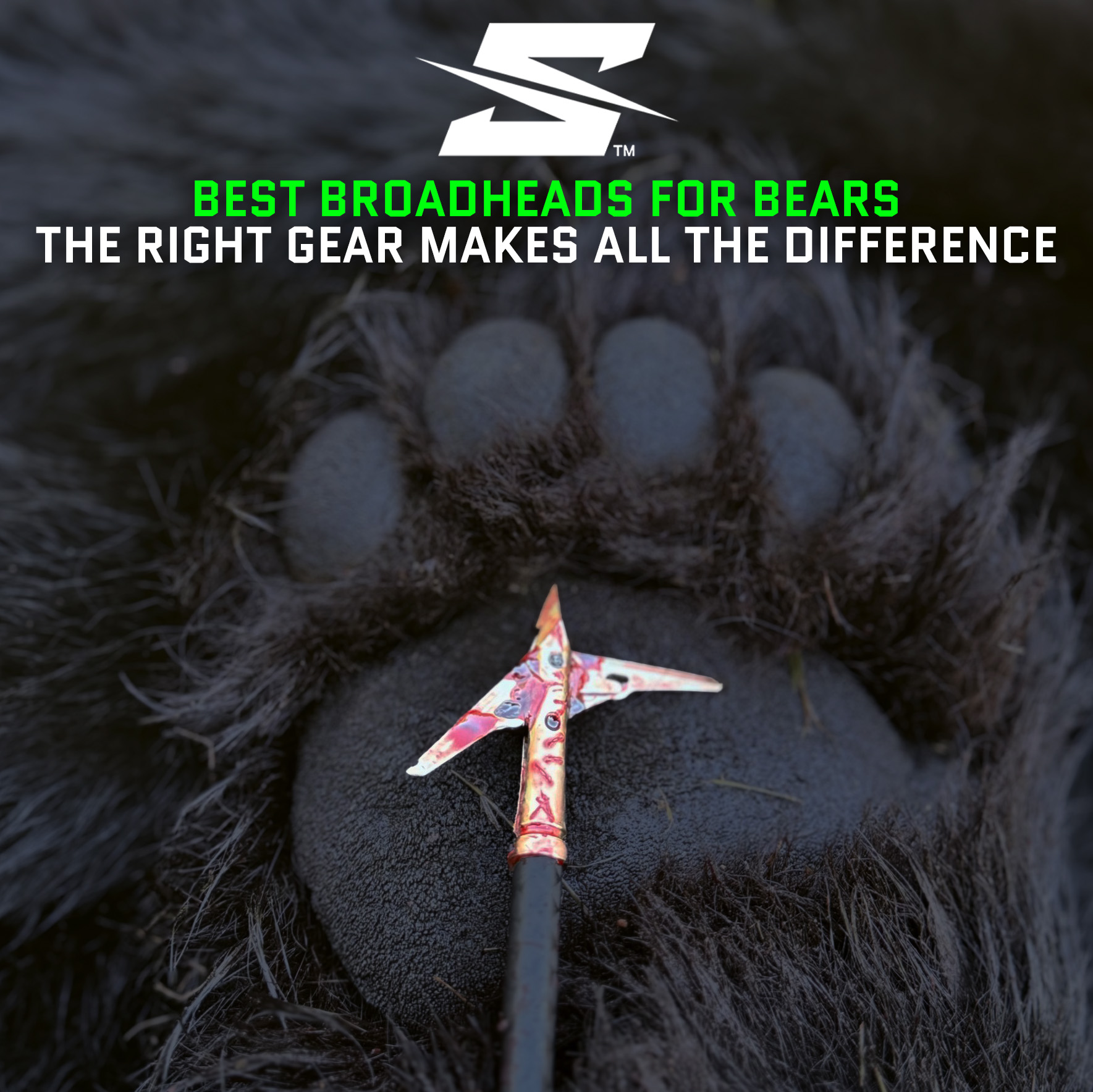 Best broadheads for Bear