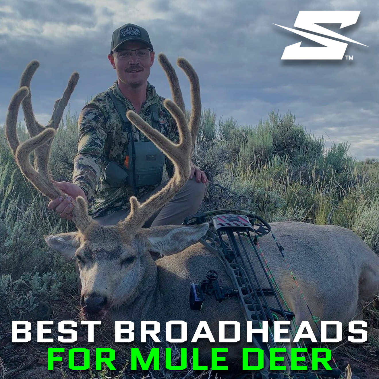 Best Broadheads For Mule Deer