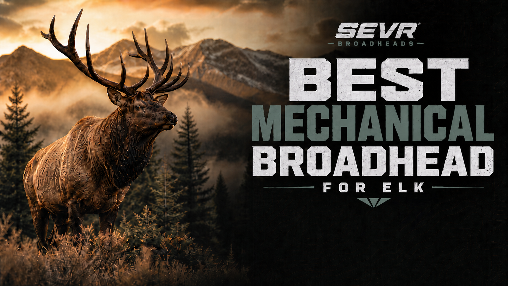 Best Mechanical Broadhead For Elk